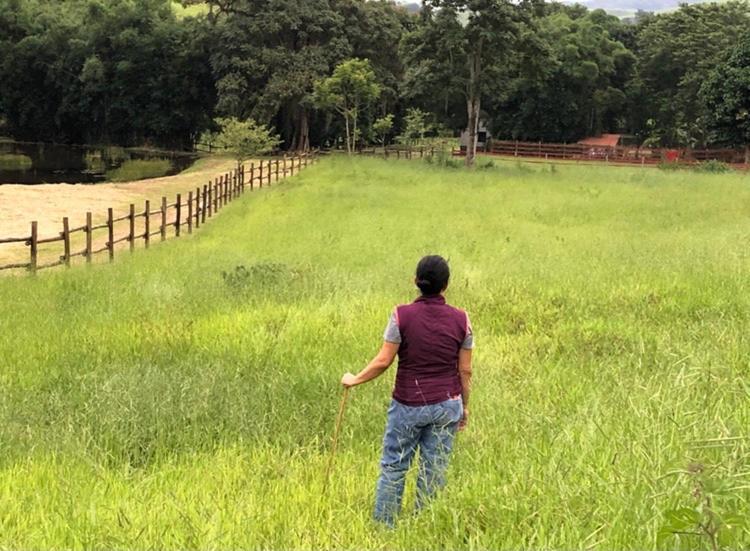 Vila Vivenda Dos Guaranys -Um Projeto Ecologico - Casa Conservatória Exteriér fotografie